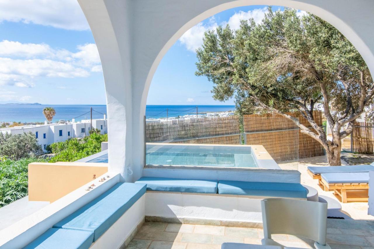 Villa With View Of Agios Ioannis And Pool With Jacuzzi Agios Ioannis (Tinos) Exterior foto